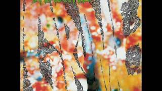 Haemorrhage   Ectopic Eye