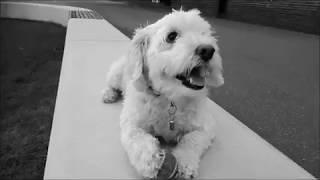 Mark Forster - Oh Love (Music Video)