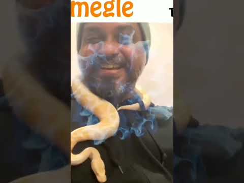snek .. omegle.com #omegle #shortvideo #viral