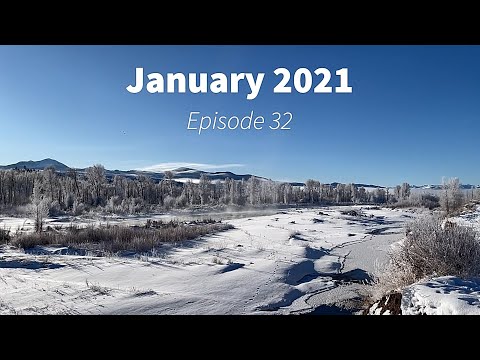 Wildlife Wednesday Monthly Round Up - January 2021