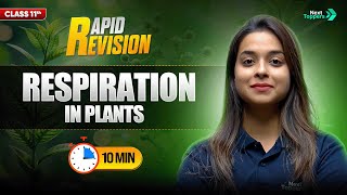 Respiration in Plants | CBSE Class 11 Biology | Full Chapter in 10 Mins | Rapid Revision Series
