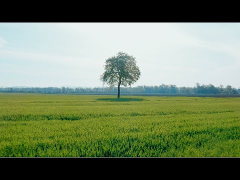 Introducing Chubb Climate+