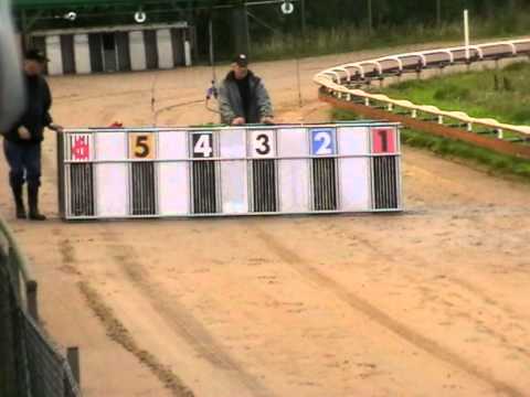 European Championship - Dogs semifinal 1