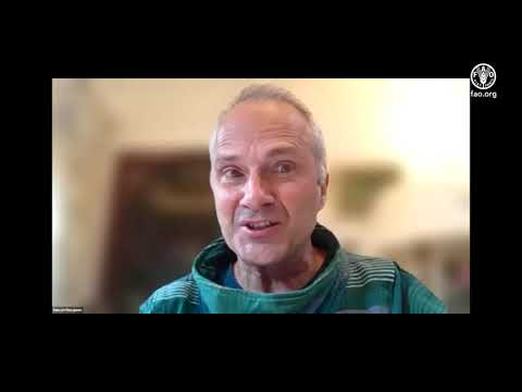Humanitarian Development Peace Nexus video