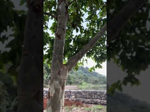 #guatemala #santarosa #santamariaixhatan lugares turísticos de mi tierra Ixhuatán