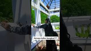 Download lagu VIRAL MAKAM KAKEK HABIB UMAR DI BONGKAR OLEH PWI mp3