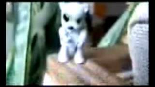 Freezepop Outerspace (fly away mix)