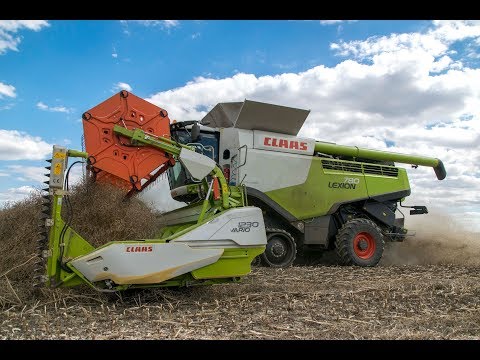 RAPESEED HARVEST | 2X CLAAS LEXION | JOHN DEERE | PERARD | AGROSLUŽBY MEDERA