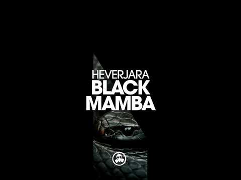 Hever Jara - Black Mamba (Original Mix) | Afro House Source | #afrohouse #afrodeep #afrotech