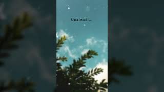 Download lagu Kanna Kanna uruti song WhatsApp status 💓🫶🏻|| Divi Editz mp3 Download lagu Kanna Kanna uruti song WhatsApp status 💓🫶🏻|| Divi Editz mp3