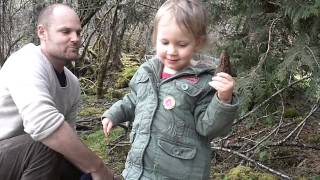 preview picture of video 'Cowichan morel harvest 2012'