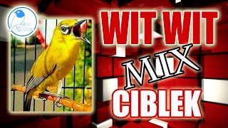 Download lagu MASTERAN PLECI: TEMBAKAN WIT-WIT MIX CIBLEK mp3 Download lagu MASTERAN PLECI: TEMBAKAN WIT-WIT MIX CIBLEK mp3