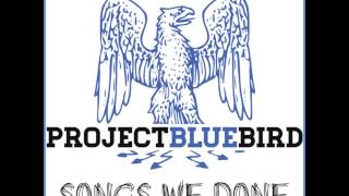 Project Bluebird - ITFP