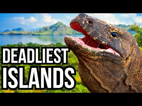 Ranking 9 Of The Deadliest Islands Based On Their Wildlife - From Least Deadly To Deadliest