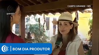Miniatura do vídeo