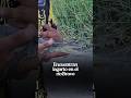 Homepage 3 Video thumbnail