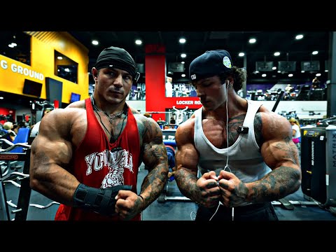 MOGGING CRUNCH FITNESS (width)