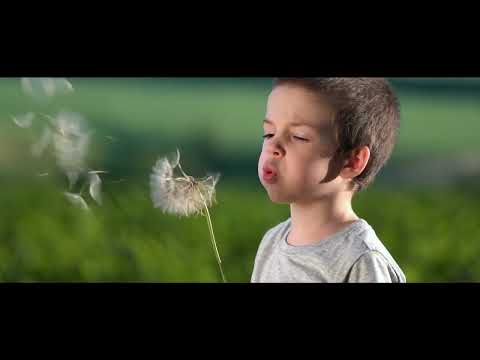 What Did I Do Today - Dawud Wharnsby (Official Video)