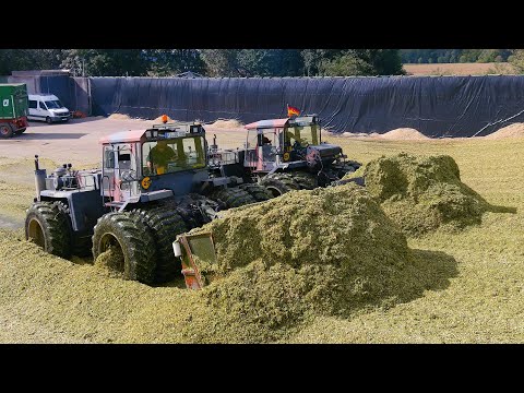 Mais 2023  : 2x Zettelmeyer ZD-3000 | John Deere 9700i | Deutz | Krampe | Biogas | Maissilage | Tank