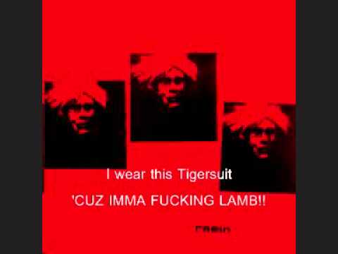 Raein - Tigersuit (With Lyrics)