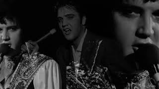 I&#39;m Yours   Elvis Presley