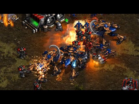 ASL CHAMP JyJ 🇰🇷 (T) vs herO 🇰🇷 (Z) on Eclipse - StarCraft - Brood War