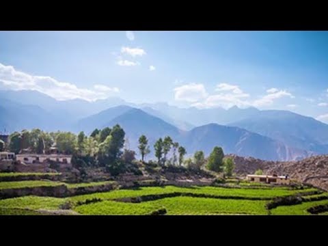 download lagu mp3 mp4 Diana Divecha, download lagu Diana Divecha gratis, unduh video klip Diana Divecha