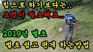 벌초 손쉽게 하는방법 2019년 벌초하는요령 예초기작업시 유의해야할 사항에 대해서 이야기 해보았습니다