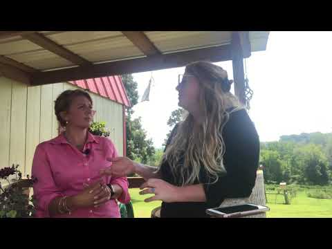 download lagu mp3 mp4 Blue Goose Poultry, download lagu Blue Goose Poultry gratis, unduh video klip Blue Goose Poultry