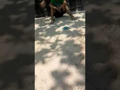 Gab's Adventure 1, beach