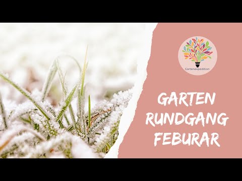 Naturgarten im Februar: Warum Unordnung Leben rettet & Quecke richtig entfernen