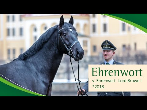 EHRENWORT v. Ehrenwert - Lord Brown I