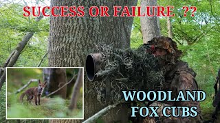 MEASURING SUCCESS - IMAGES OR THE EXPERIENCE - WOODLAND FOXES