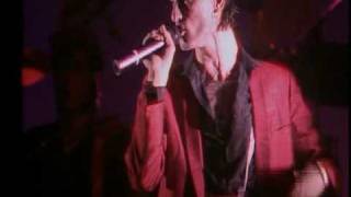 Willy DeVille - Lily's Daddy's Caddilac