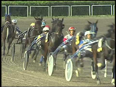 Trotto 09/10/2014 - 8° corsa