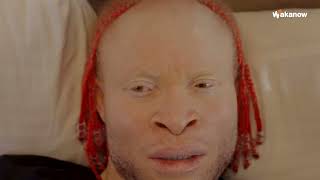 Dream it. Book it. Screeeaaam!