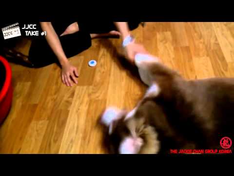 [PL SUB] 140705 JJCC Take #1 Ep.5 Introducing JJCC's Pets (Przedstawiamy zwierzaki JJCC)