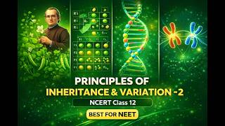 Principles of Inheritance and Variation Part 2 | NCERT Class 12 Biology | 3d Animated | Best for NEET