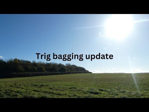 Trig bagging update