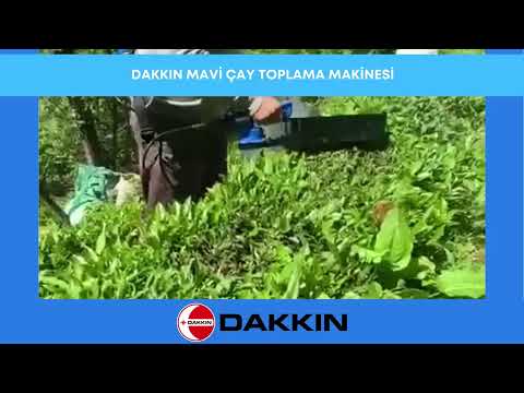 Dakkin D30 Çay Toplama Makinesi