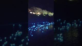 幻想的！夜の川に突如「光る青玉」出現！