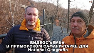 ВИДЕОСЪЁМКА В ПРИМОРСКОМ САФАРИ-ПАРКЕ ДЛЯ National Geografic ВИДЕОСЪЁМКА В ПРИМОРСКОМ САФАРИ-ПАРКЕ ДЛЯ National Geografic