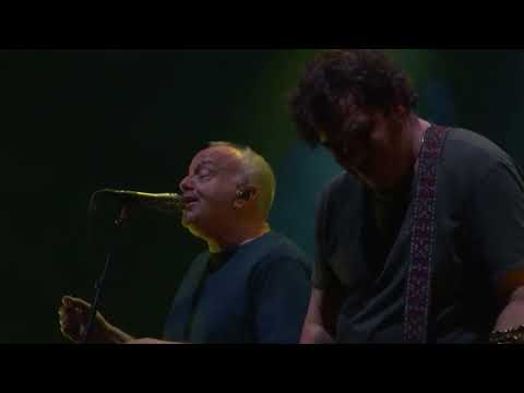 Ween 3-17-23 Mister, Would You Please Help My Pony? - Live at the Brooklyn Bowl