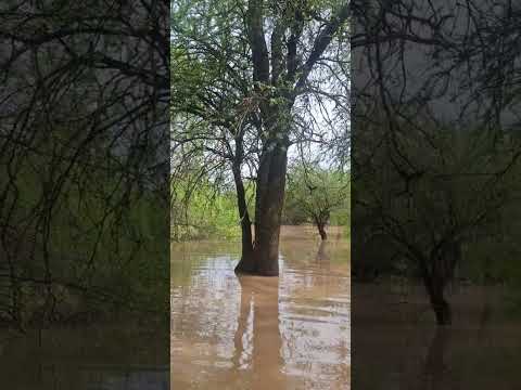 Un día después de fuertes lluvias en Rivadavia B/N-Salta