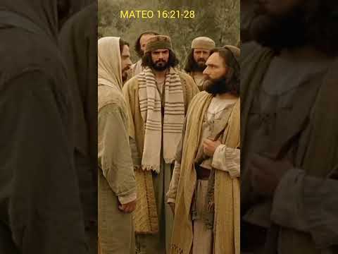 MATEO   16 :21 -28