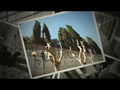 TUTTE LE VOCI DI UN’UNICA STORIA