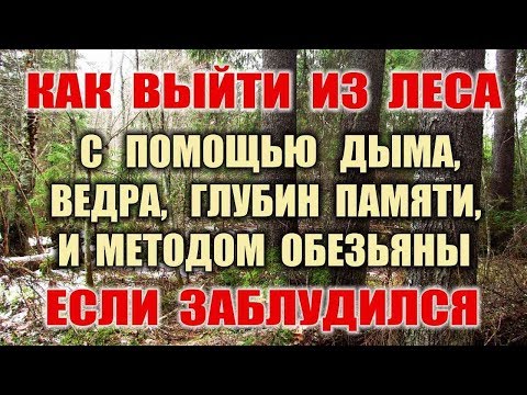 ОРИЕНТИРОВАНИЕ. Если заблудился в лесу что делать? Как выйти из леса Как ориентироваться без компаса