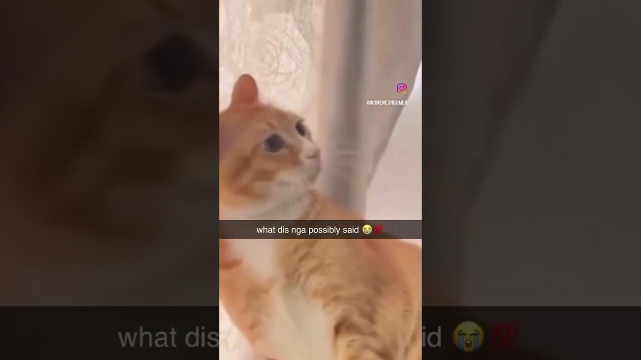 “Give me your paw & Dont say nah!” 🤣