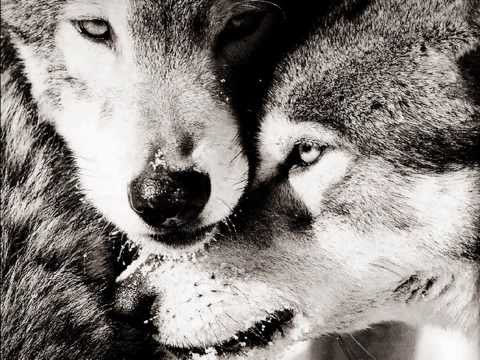 Vlod- AnGel a #NC audio