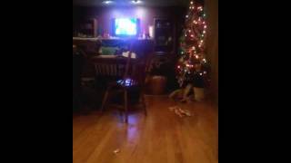 Emma running from me!